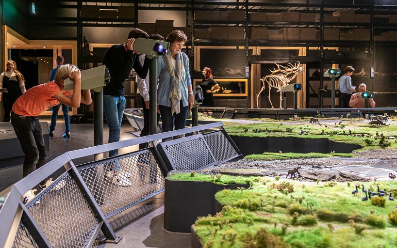 Zenvya bei Naturalis