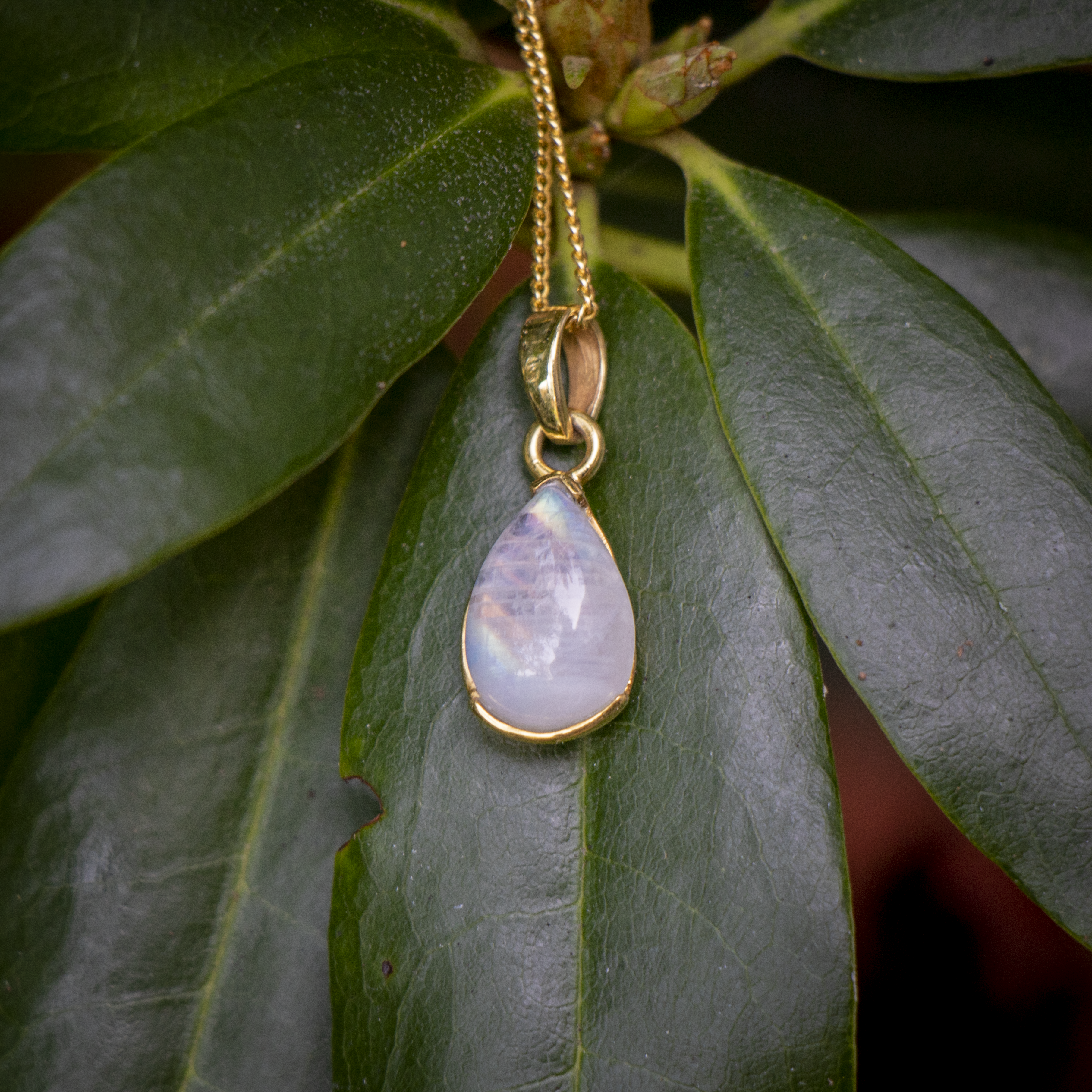 Zenvya - Regenboog Maansteen Ketting - 925 zilver - Gold Plated